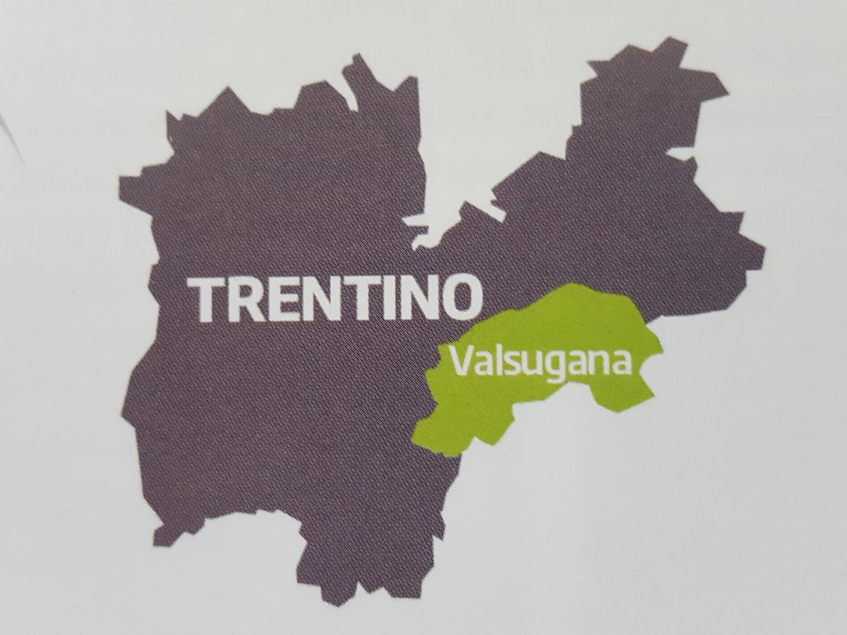 Masetto Egidio Eco-Agritur Villa Strigno Eksteriør bilde
